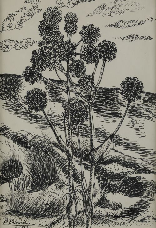 BENJAMÍN PALENCIA, "Plantas silvestres", 1965, Tintas sobre