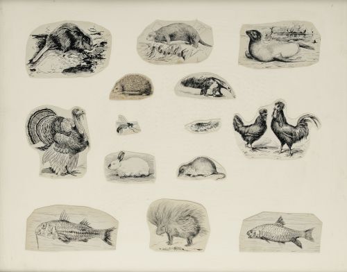 AURELIO ARTETA Y ERRASTI, "Animales", Catorce plumillas sob