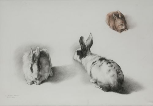 CLAUDIO BRAVO, "Conejos", 1984, Carboncillo y lápices de co
