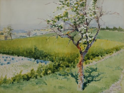 EUGENIO GOMEZ MIR, "Paisaje con almendro", Acuarela sobre p