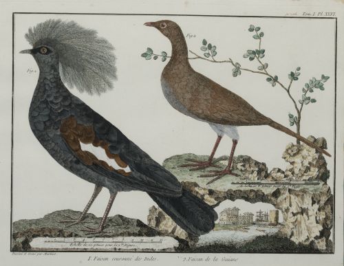 FRANÇOIS NICOLAS MARTINET, "Aves de caza", Pareja de grabad
