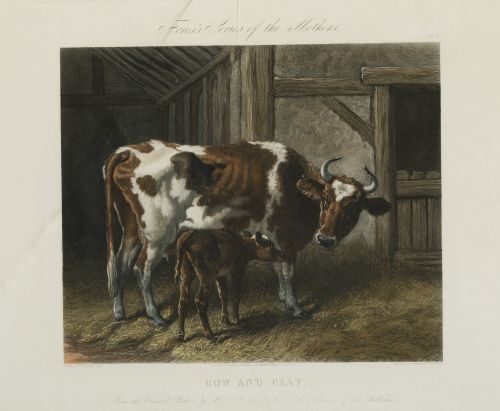 J. HARRIS Y W. SUMMERS, "Cerdos", "Gallinas", "Patos" y "Va