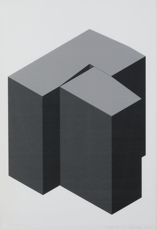ELENA ASINS , "Euskaldún 4" y "Euskaldún 5", 2001, Inyecció
