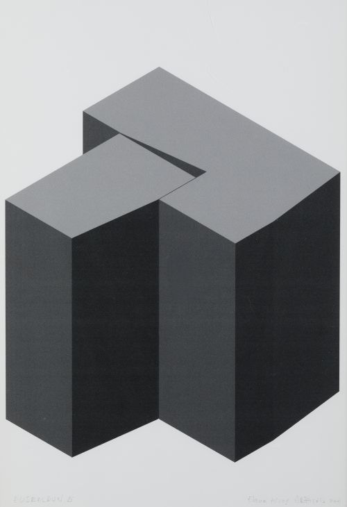 ELENA ASINS , "Euskaldún 4" y "Euskaldún 5", 2001, Inyecció