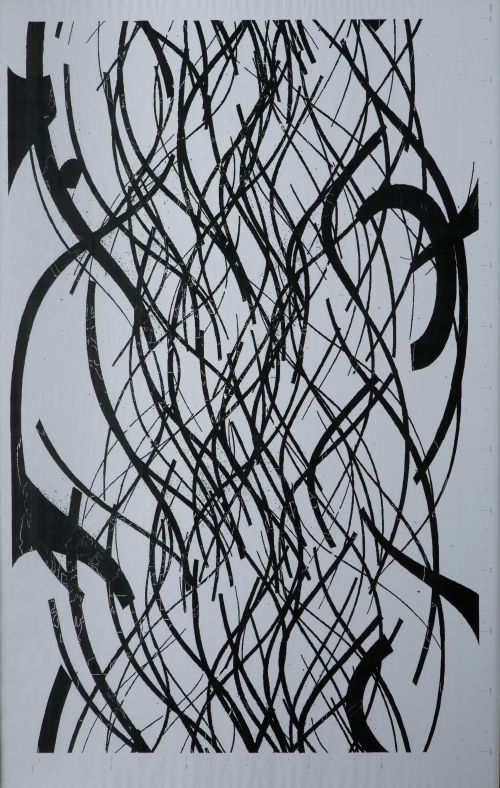 PALOMA POLO, "Thrown Shadow", 2010, Impresión de pigmentos