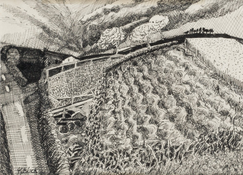 JAMES GRANT BLACK, "La siembra", Dibujo a tinta