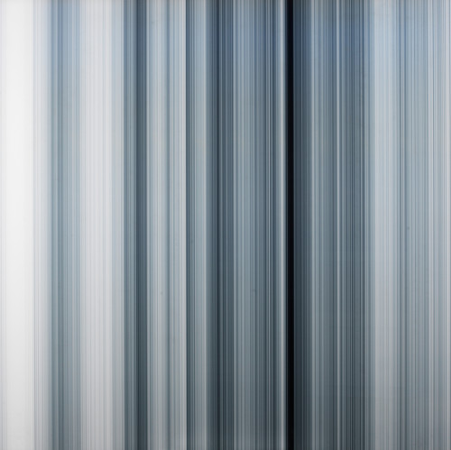 MICHAEL  BANKS, "Mono Stripe 4", 2010, Fotografía