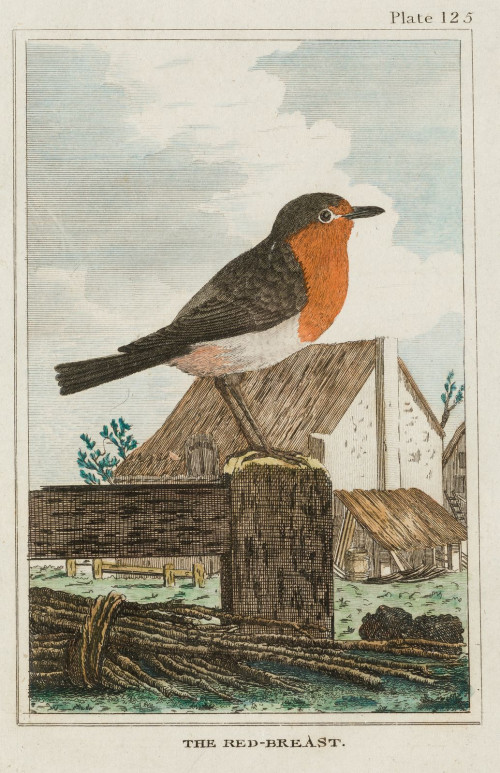 "Aves", 1812