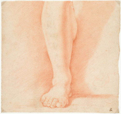 ANÓNIMO S. XVIII, "Estudio de pierna", Sanguina sobre papel