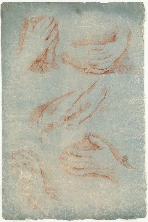 ANÓNIMO S. XVIII, "Estudios de manos", Sanguina sobre papel